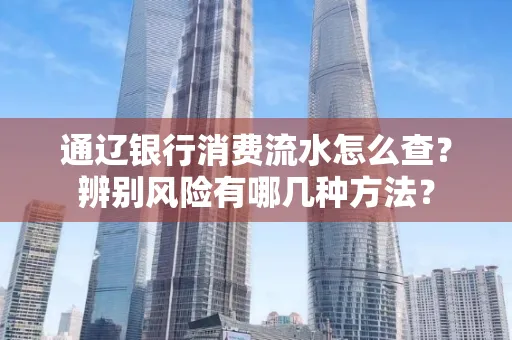通辽银行消费流水怎么查？辨别风险有哪几种方法？