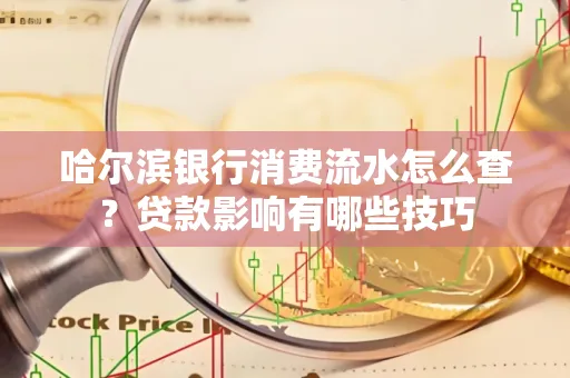 哈尔滨银行消费流水怎么查？贷款影响有哪些技巧